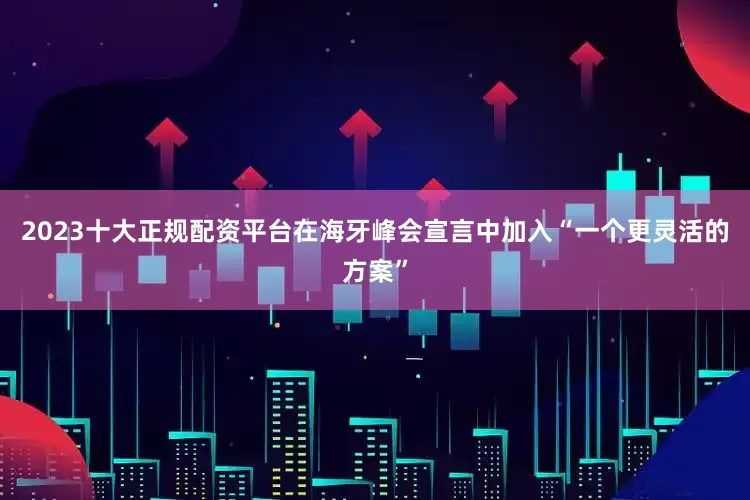 2023十大正规配资平台在海牙峰会宣言中加入“一个更灵活的方案”