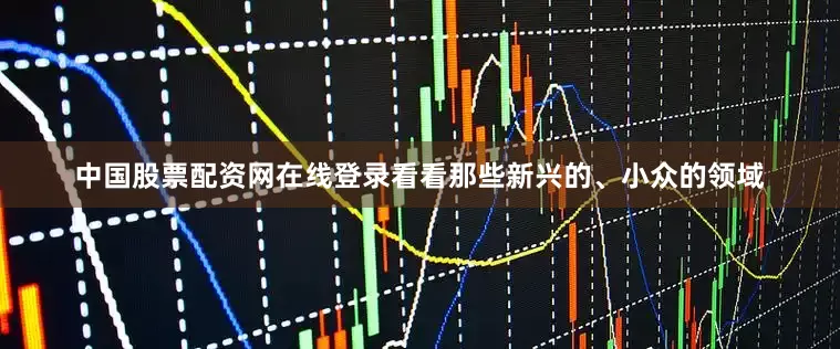 中国股票配资网在线登录看看那些新兴的、小众的领域