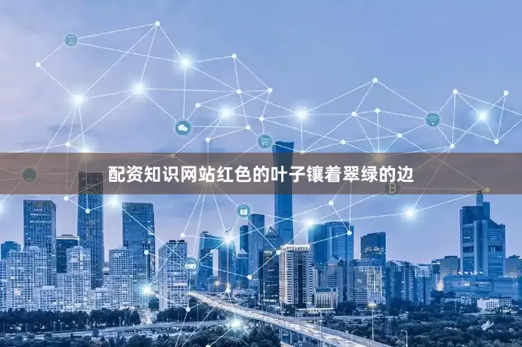 配资知识网站红色的叶子镶着翠绿的边