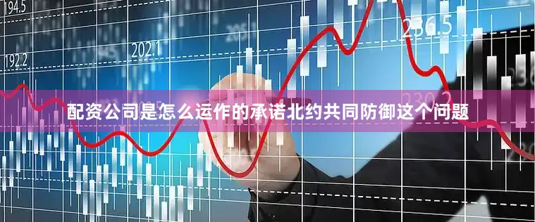 配资公司是怎么运作的承诺北约共同防御这个问题